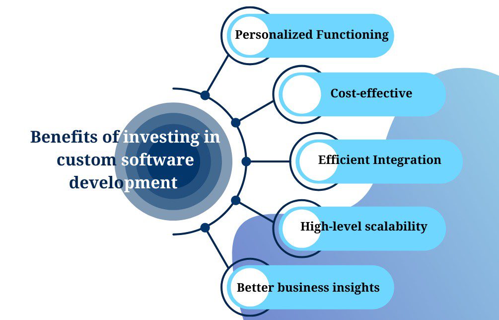 Investing in software development