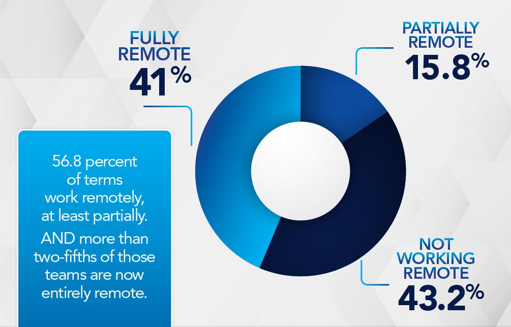 Partial remote work in pie chart